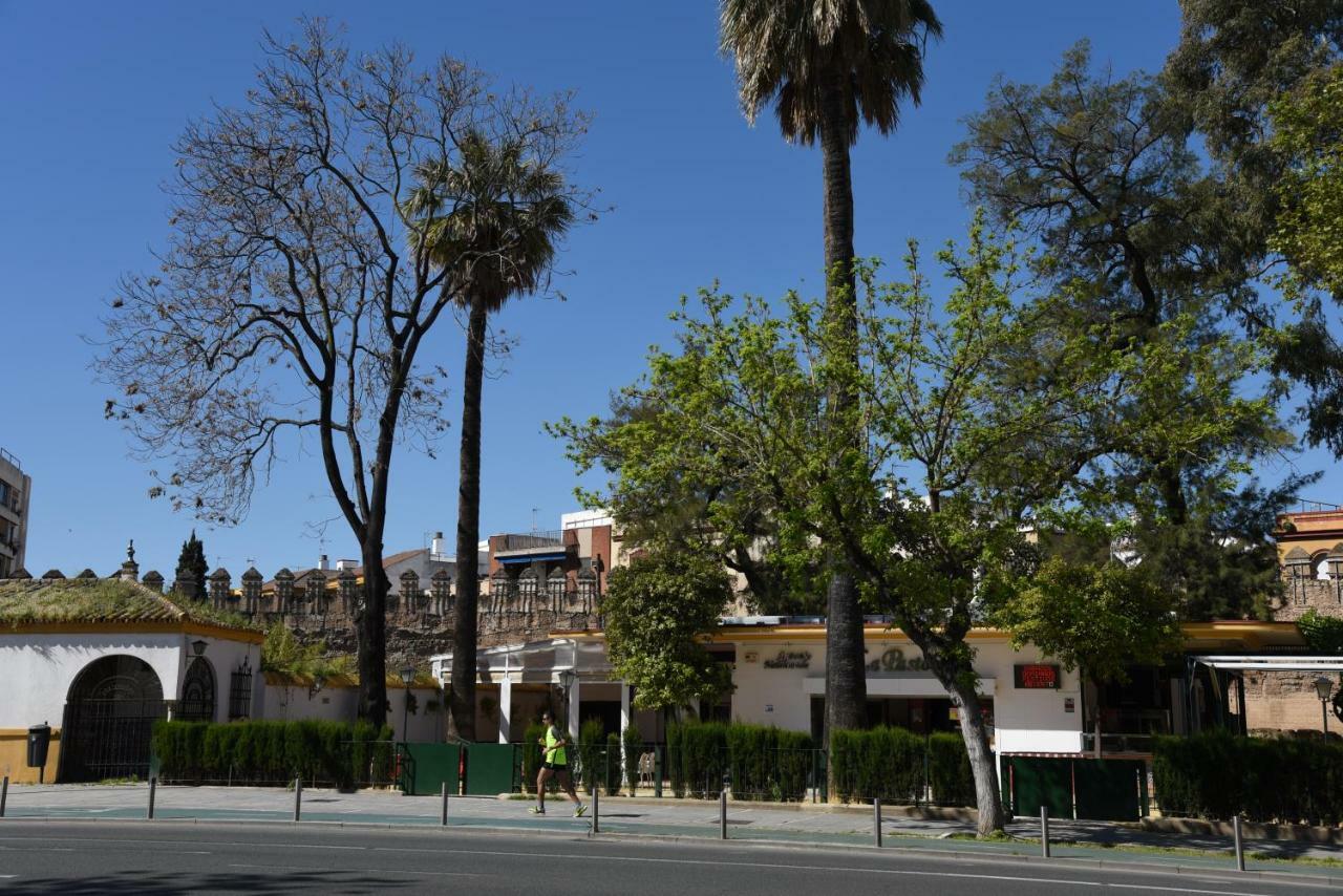 Modern Atico, Close Macarena/sevilla Center Appartement Sevilla