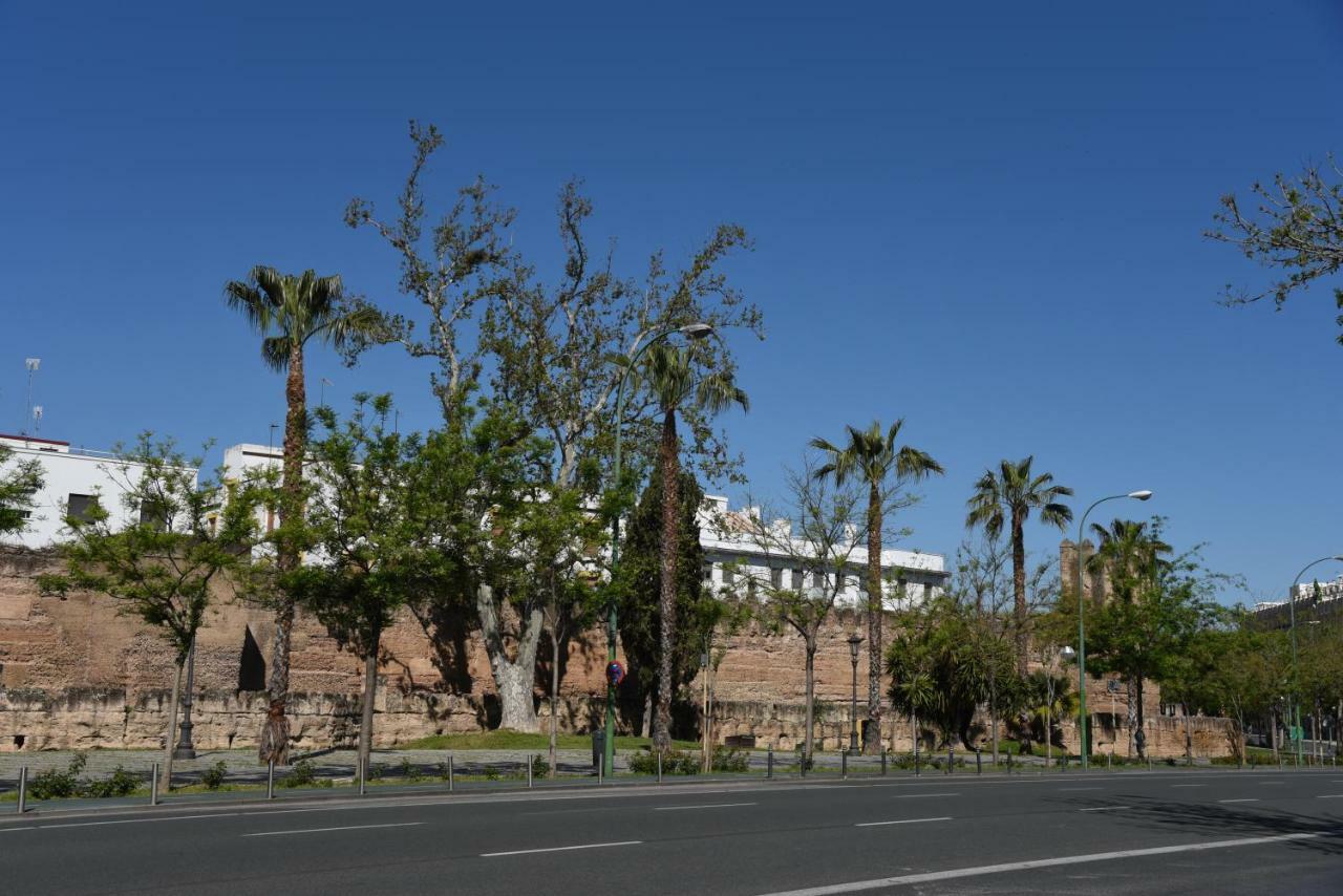 Modern Atico, Close Macarena/sevilla Center Appartement